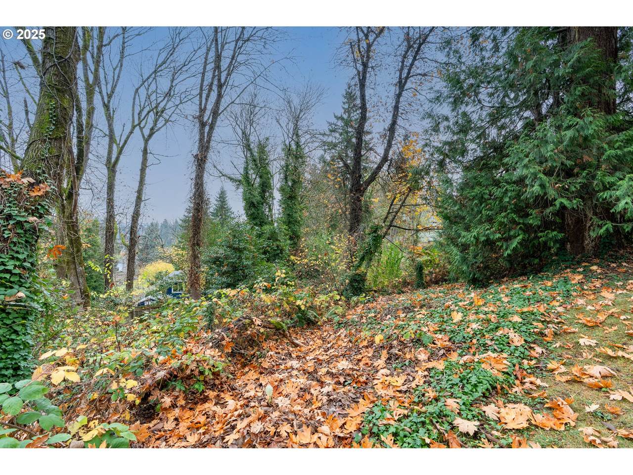 https://bt-photos.global.ssl.fastly.net/portland/1280_boomver_1_319632252-2.jpg