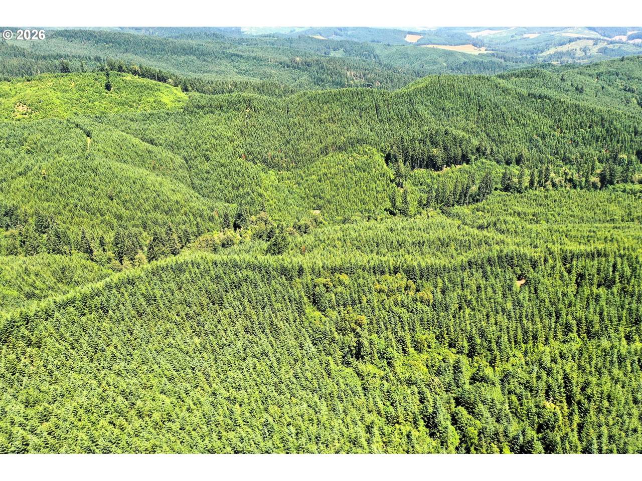 https://bt-photos.global.ssl.fastly.net/portland/1280_boomver_1_319746993-2.jpg