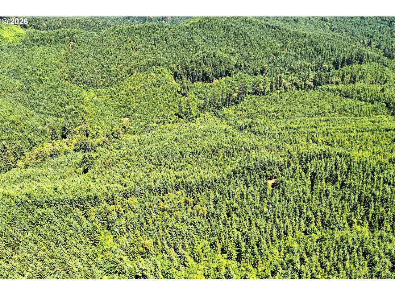 https://bt-photos.global.ssl.fastly.net/portland/1280_boomver_1_319746993-2.jpg