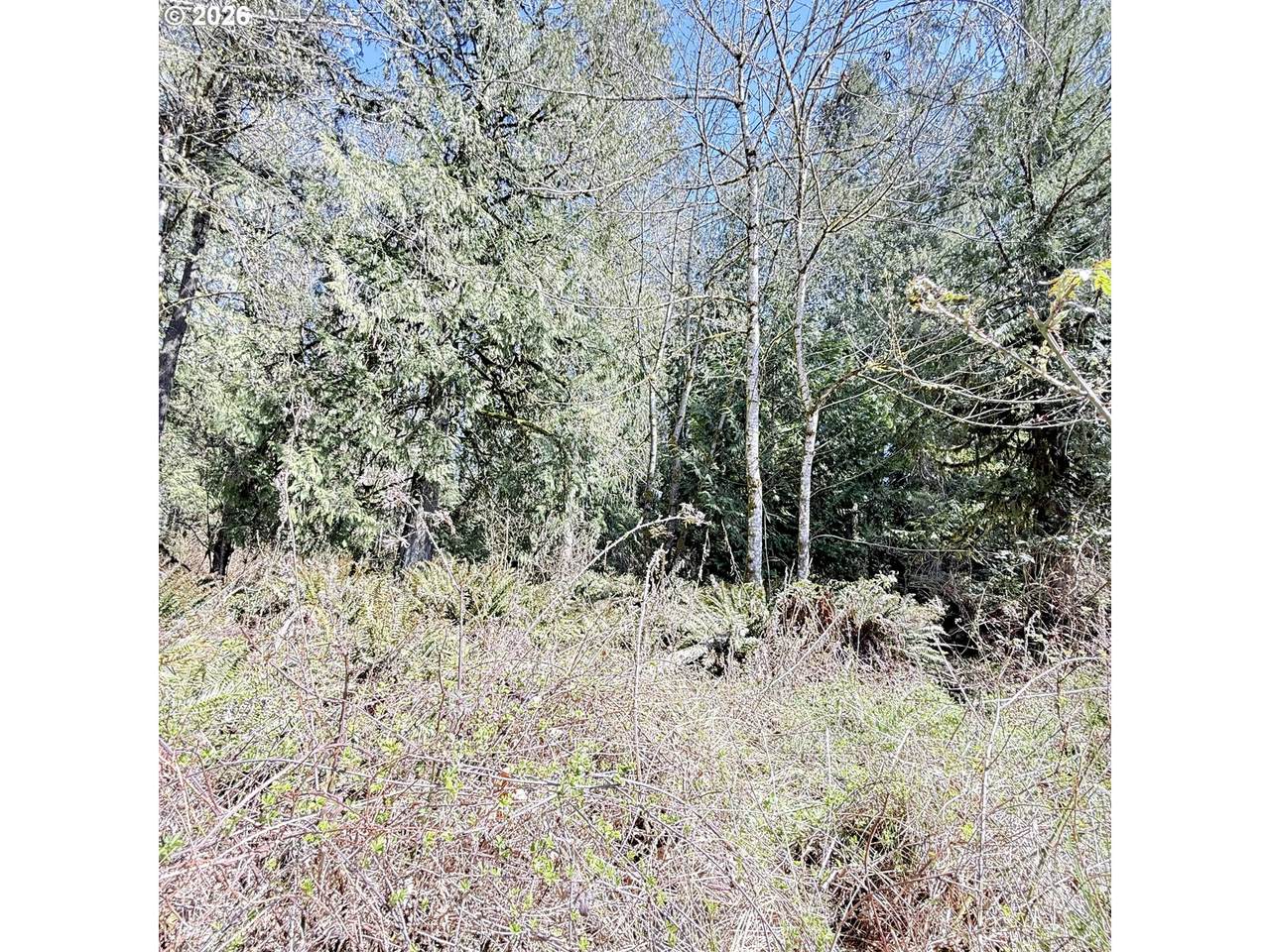 0000 Louisiana Ave - Photo 1