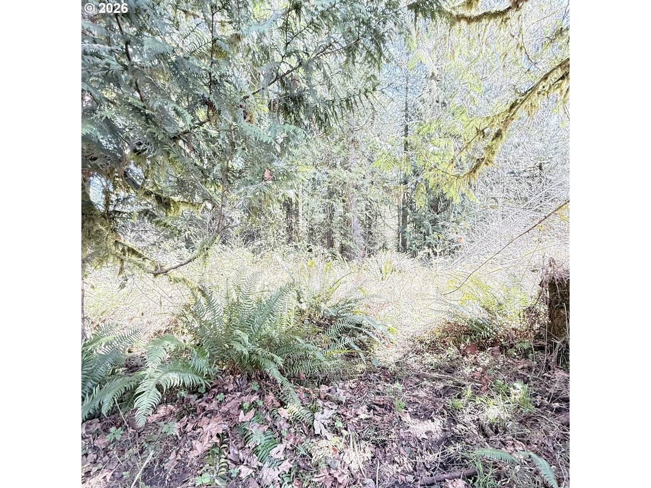 https://bt-photos.global.ssl.fastly.net/portland/1280_boomver_1_325353298-2.jpg