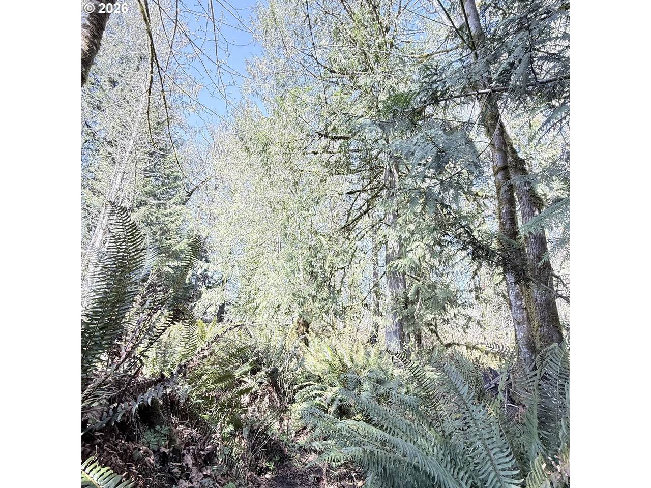 https://bt-photos.global.ssl.fastly.net/portland/1280_boomver_1_325353298-2.jpg