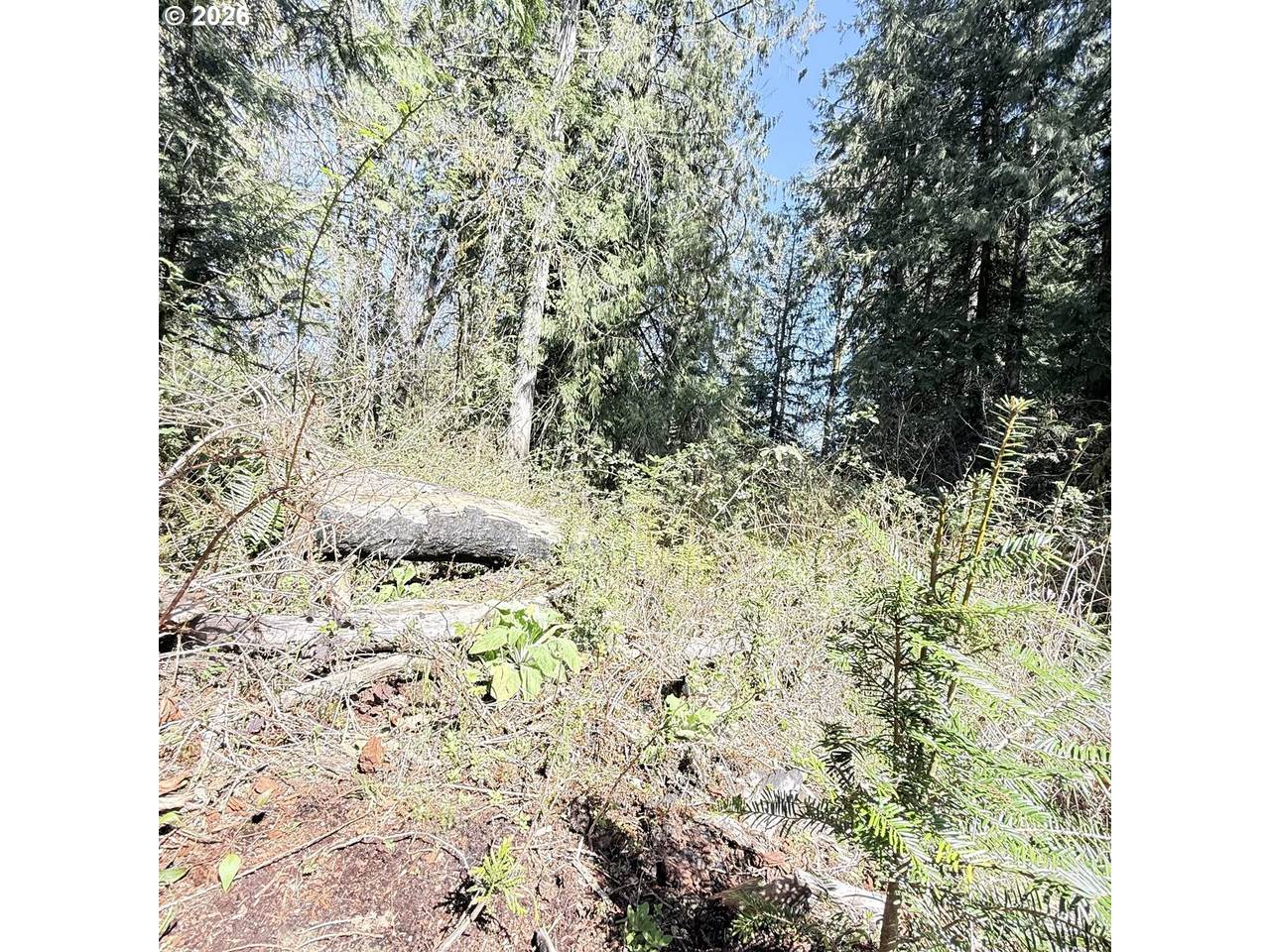 https://bt-photos.global.ssl.fastly.net/portland/1280_boomver_1_325353298-2.jpg