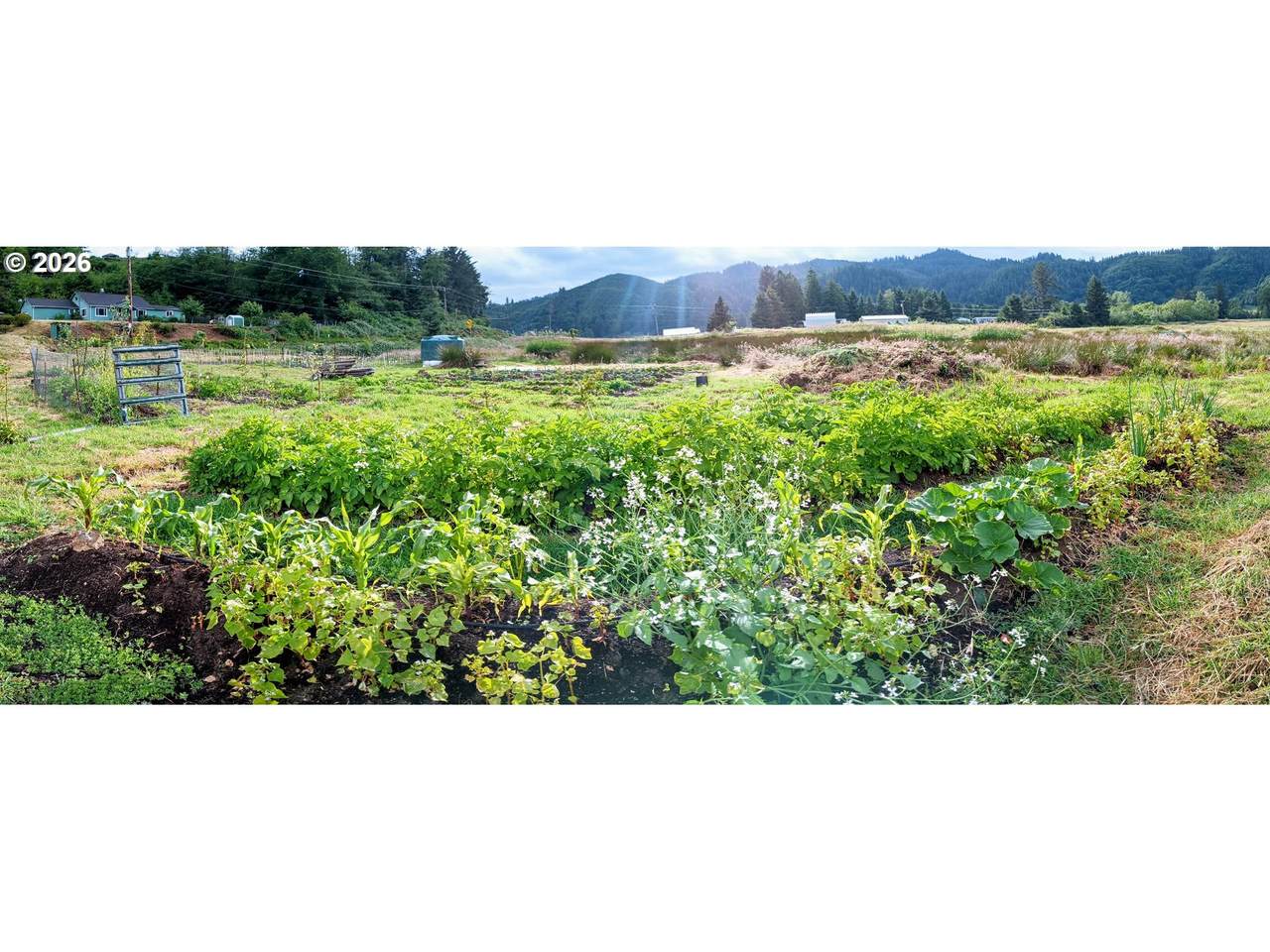 https://bt-photos.global.ssl.fastly.net/portland/1280_boomver_1_328103180-2.jpg