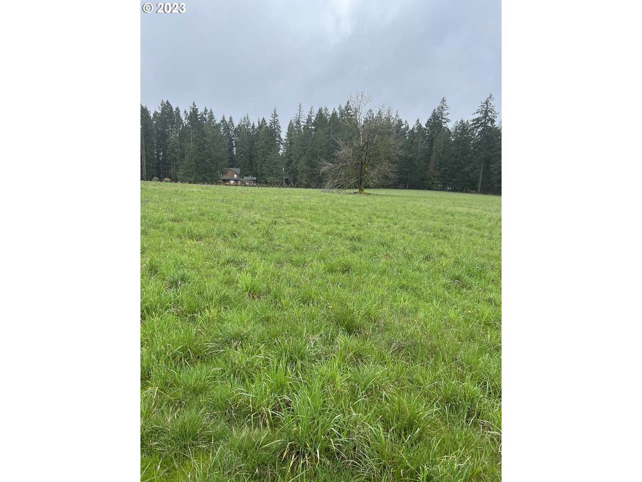 0 Strowbridge Rd - Photo 1