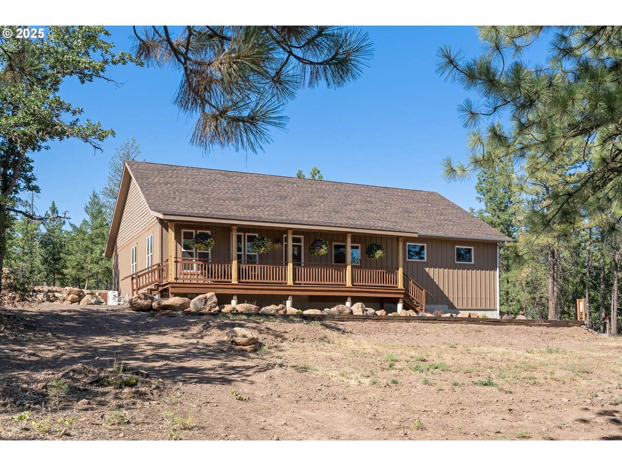 101 Goldenpine - Photo 1