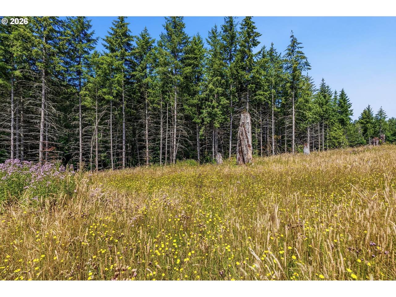 252 Ash Mountain Dr - Photo 1