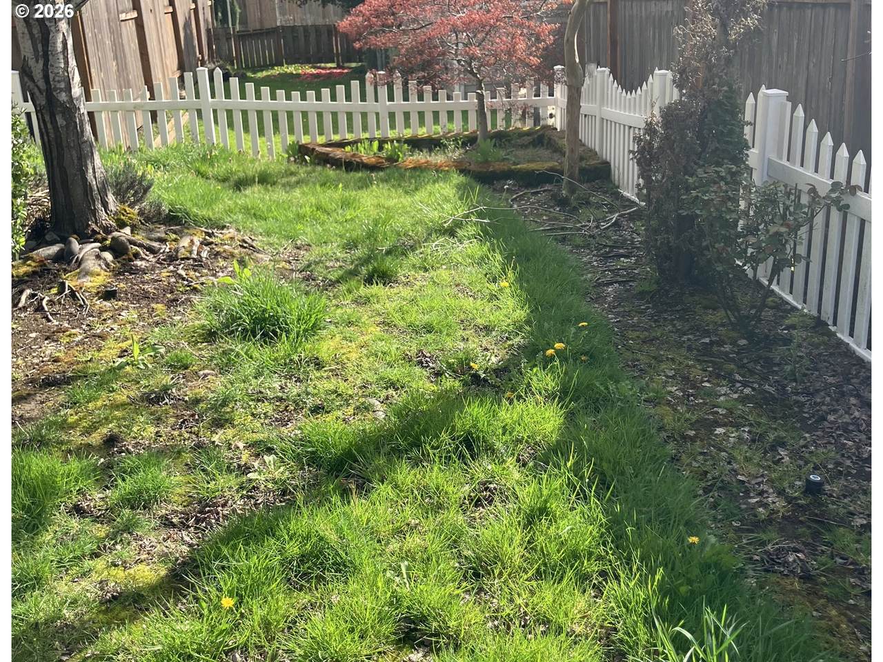 https://bt-photos.global.ssl.fastly.net/portland/1280_boomver_1_335927407-2.jpg