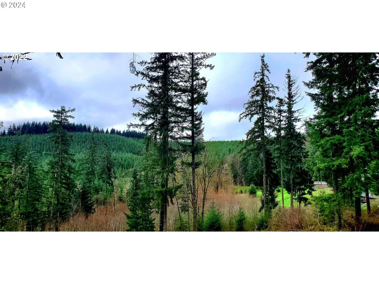  Viewcrest Dr - Photo 1