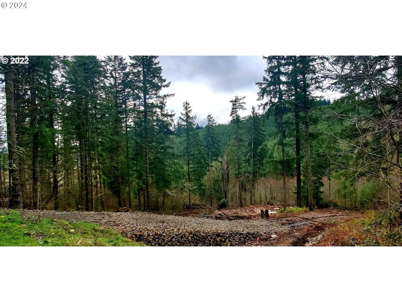 https://bt-photos.global.ssl.fastly.net/portland/orig_boomver_1_337955531-2.jpg