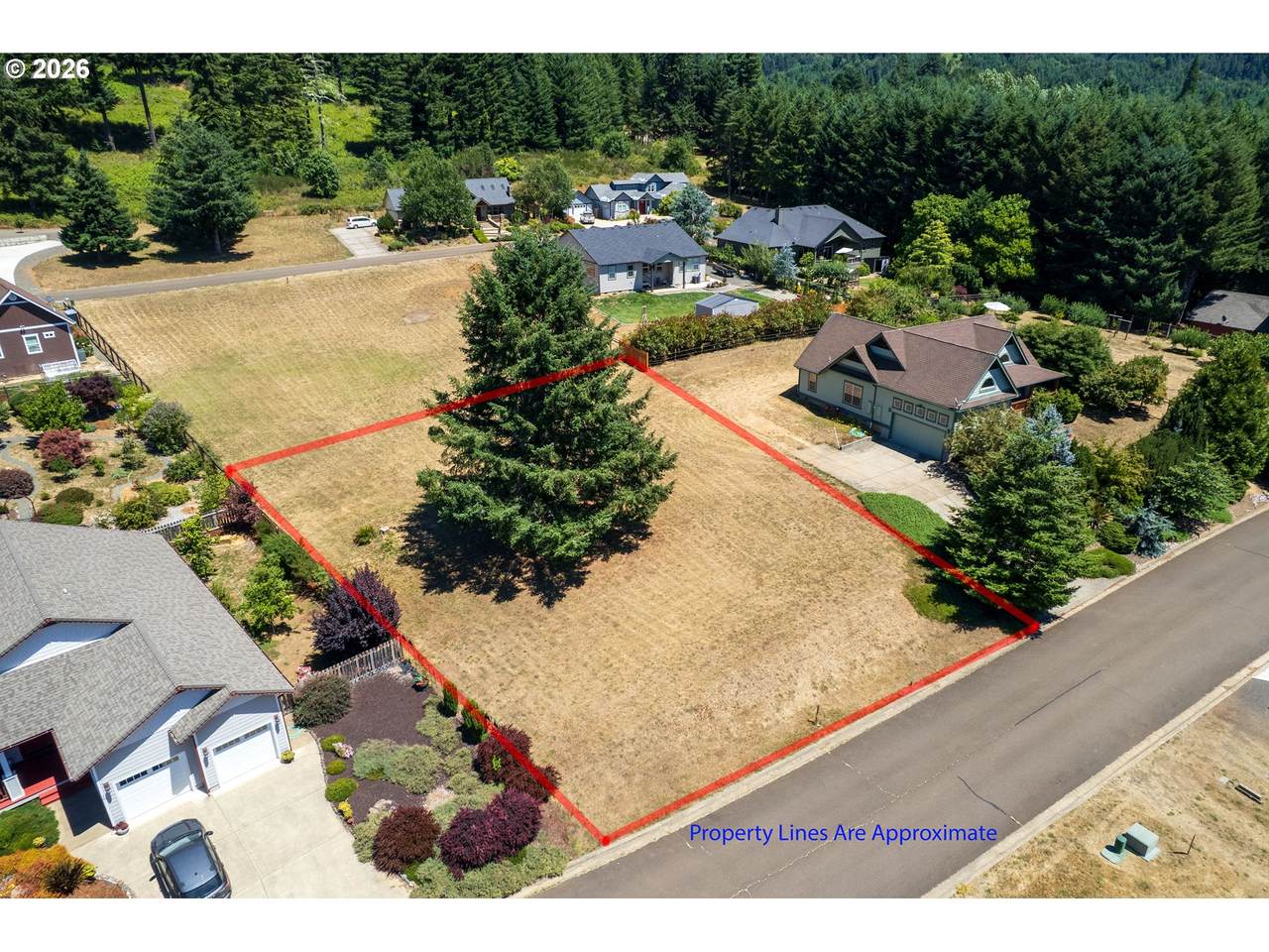335 Edgeview Dr - Photo 1