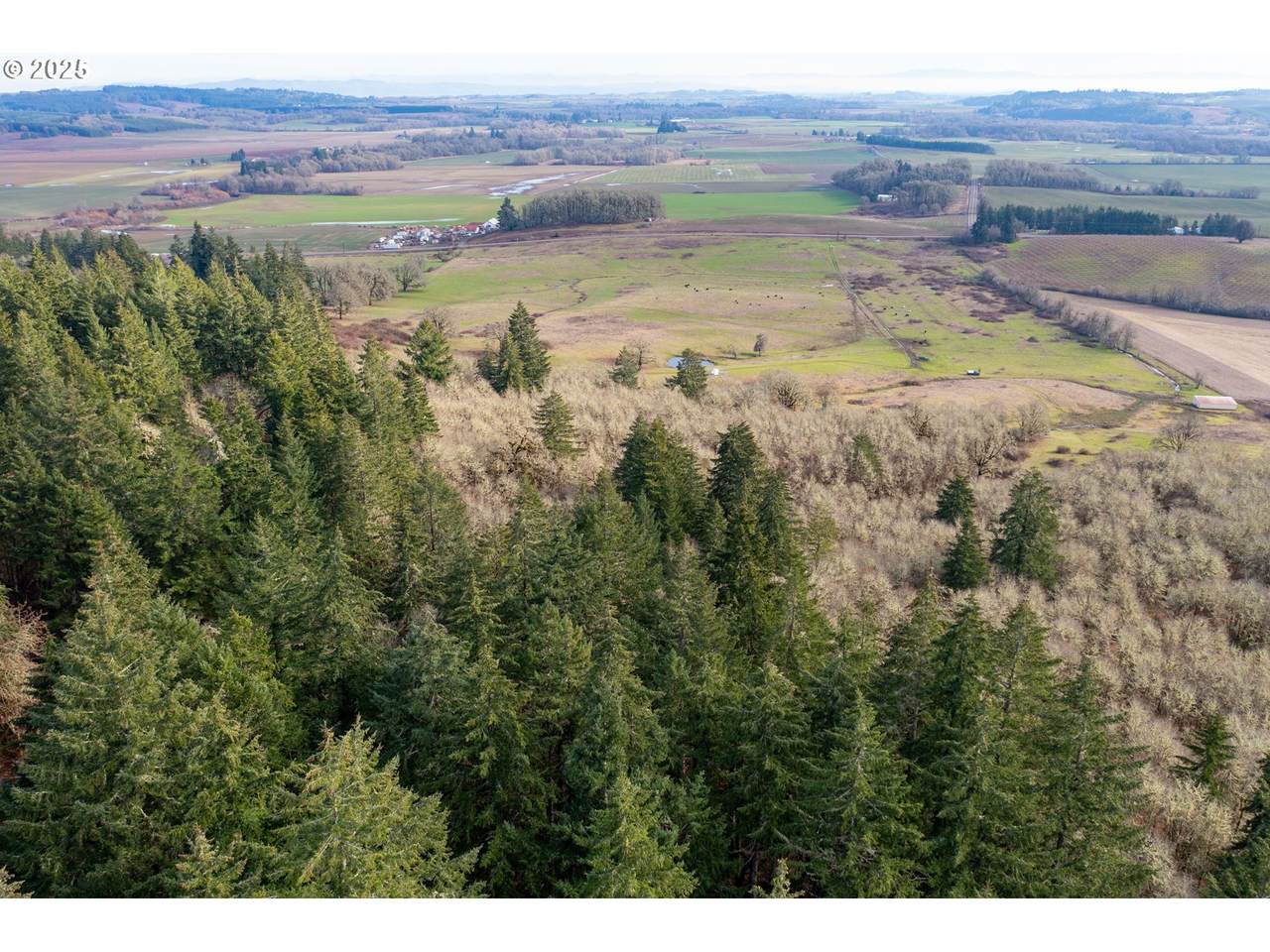 https://bt-photos.global.ssl.fastly.net/portland/1280_boomver_1_340844654-2.jpg