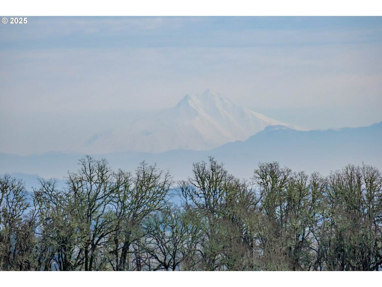 https://bt-photos.global.ssl.fastly.net/portland/1280_boomver_1_340844654-2.jpg