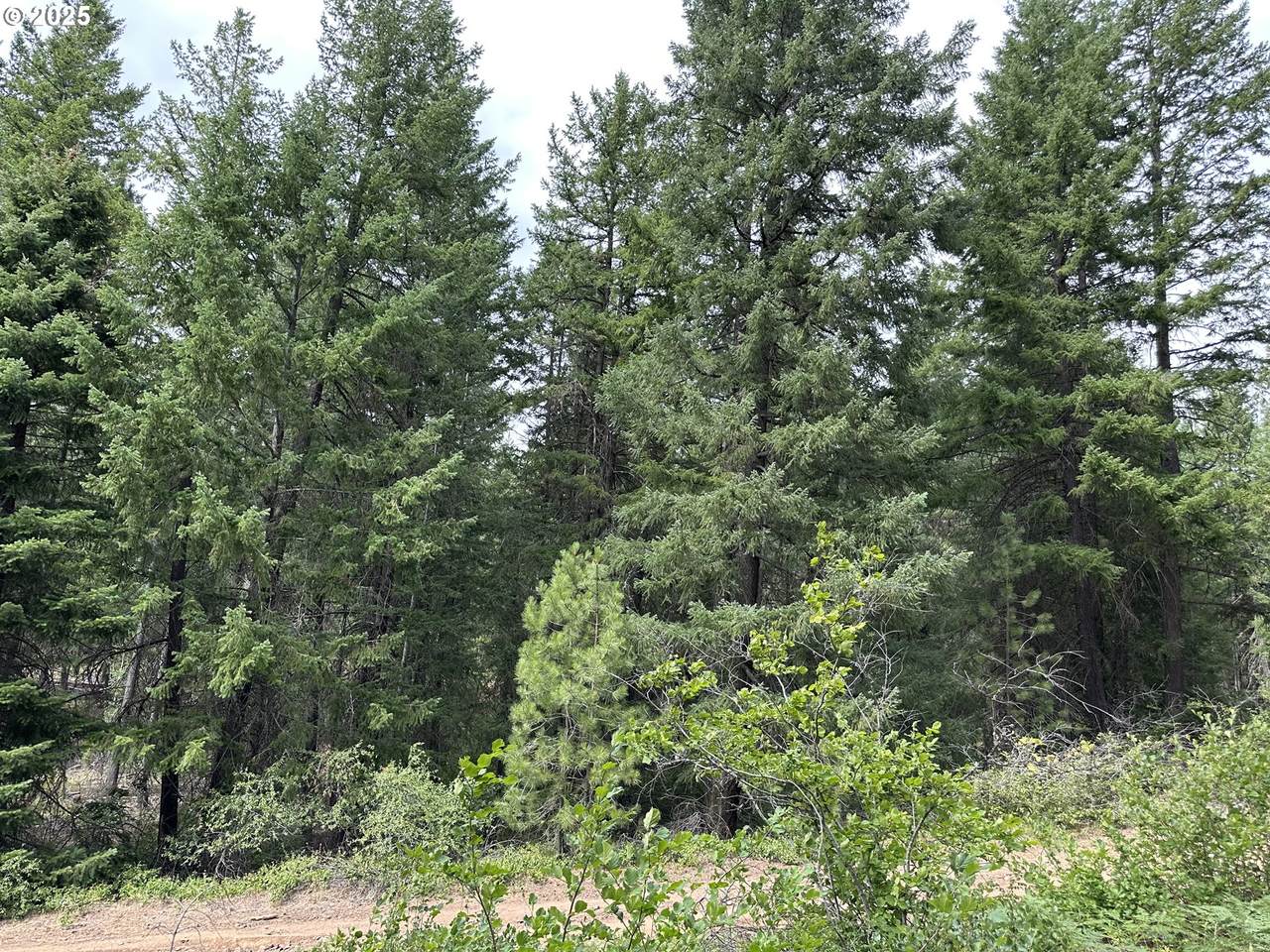 https://bt-photos.global.ssl.fastly.net/portland/1280_boomver_1_342691640-2.jpg