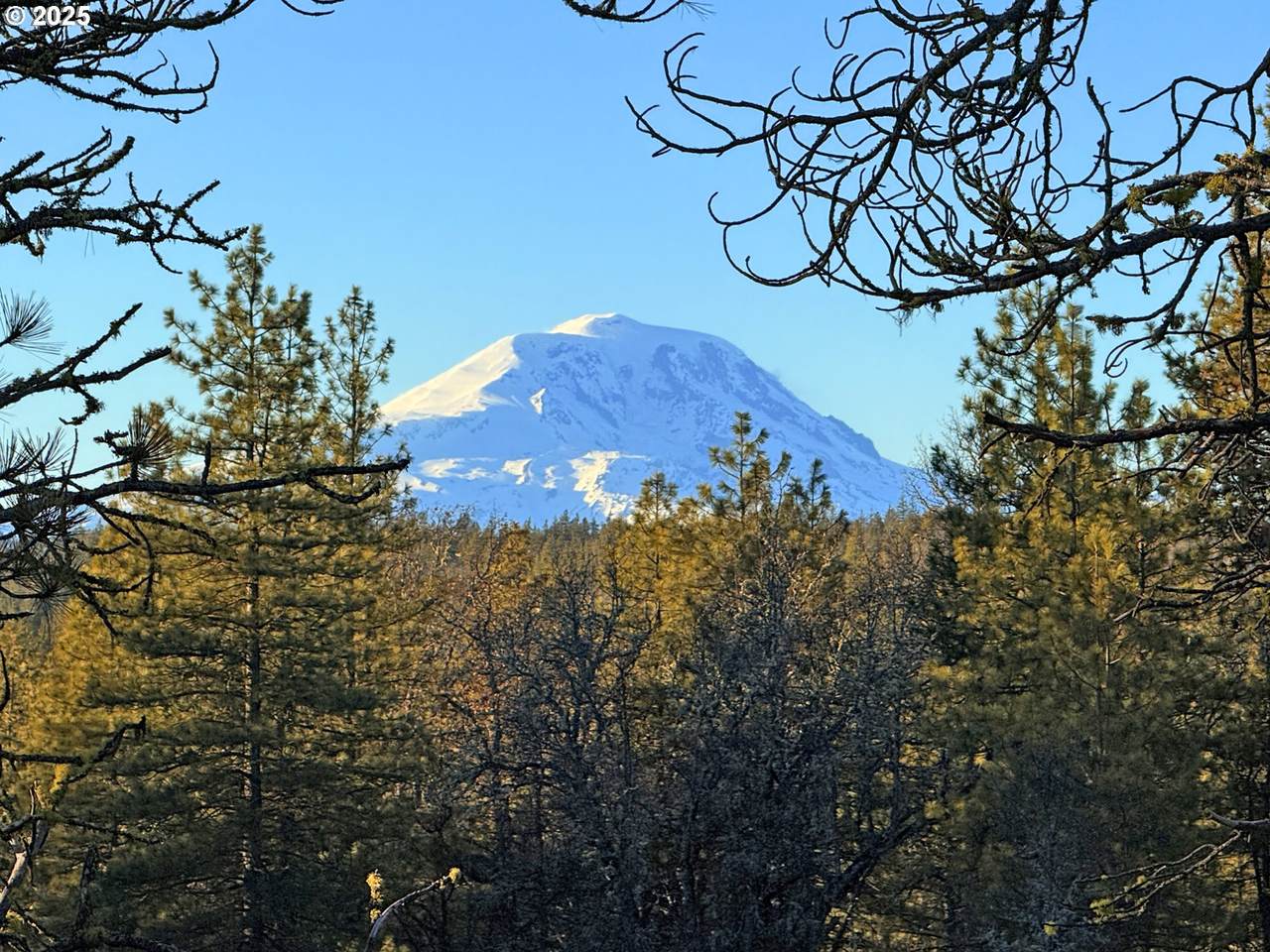  Boardman Way - Photo 1