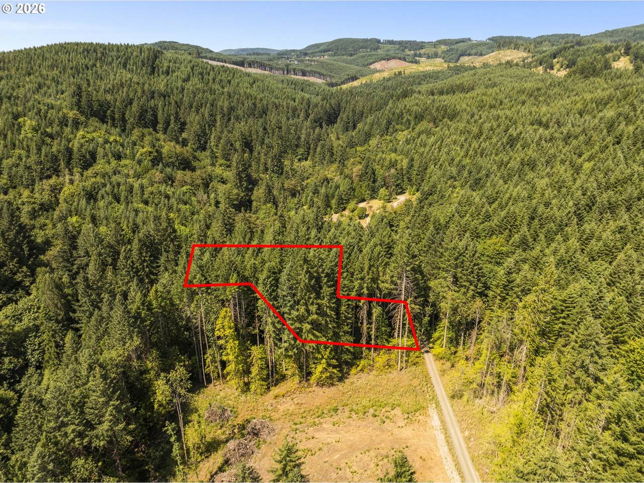 0 Green Mountain Rd - Photo 1