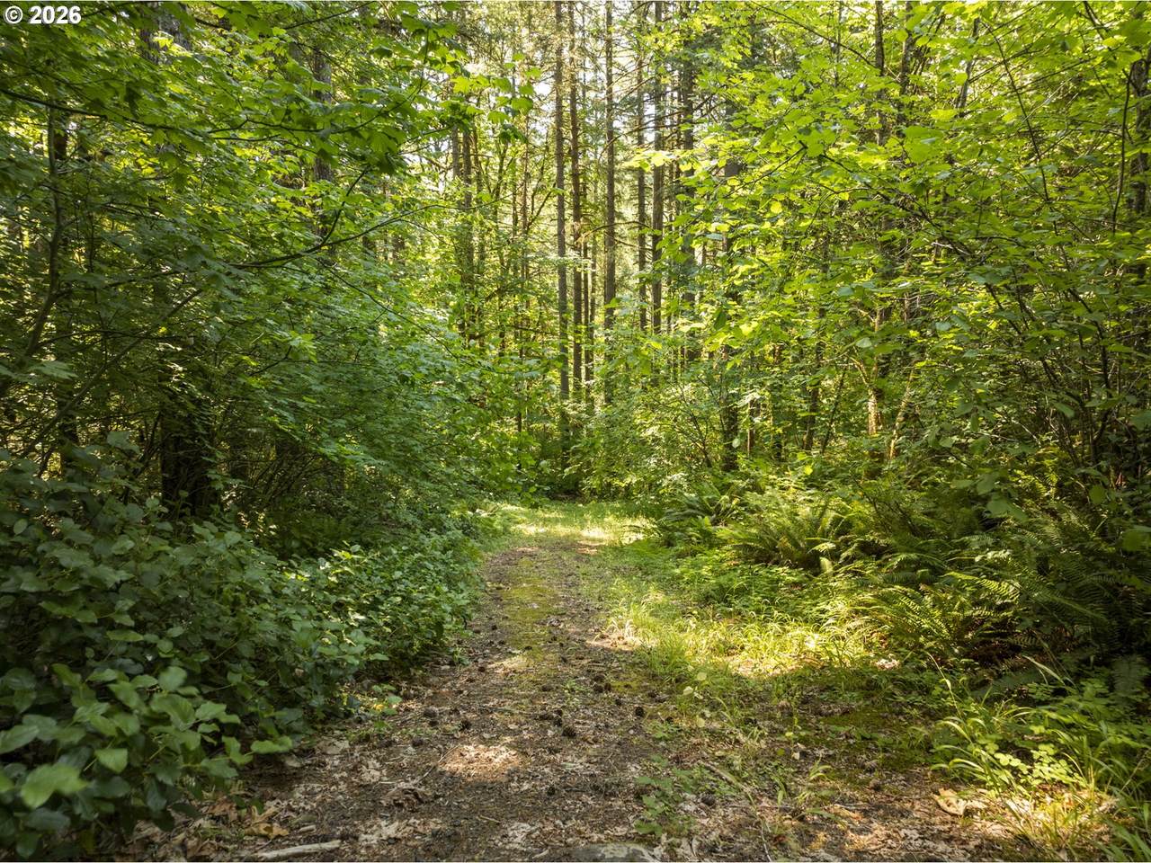 https://bt-photos.global.ssl.fastly.net/portland/1280_boomver_1_345786490-2.jpg