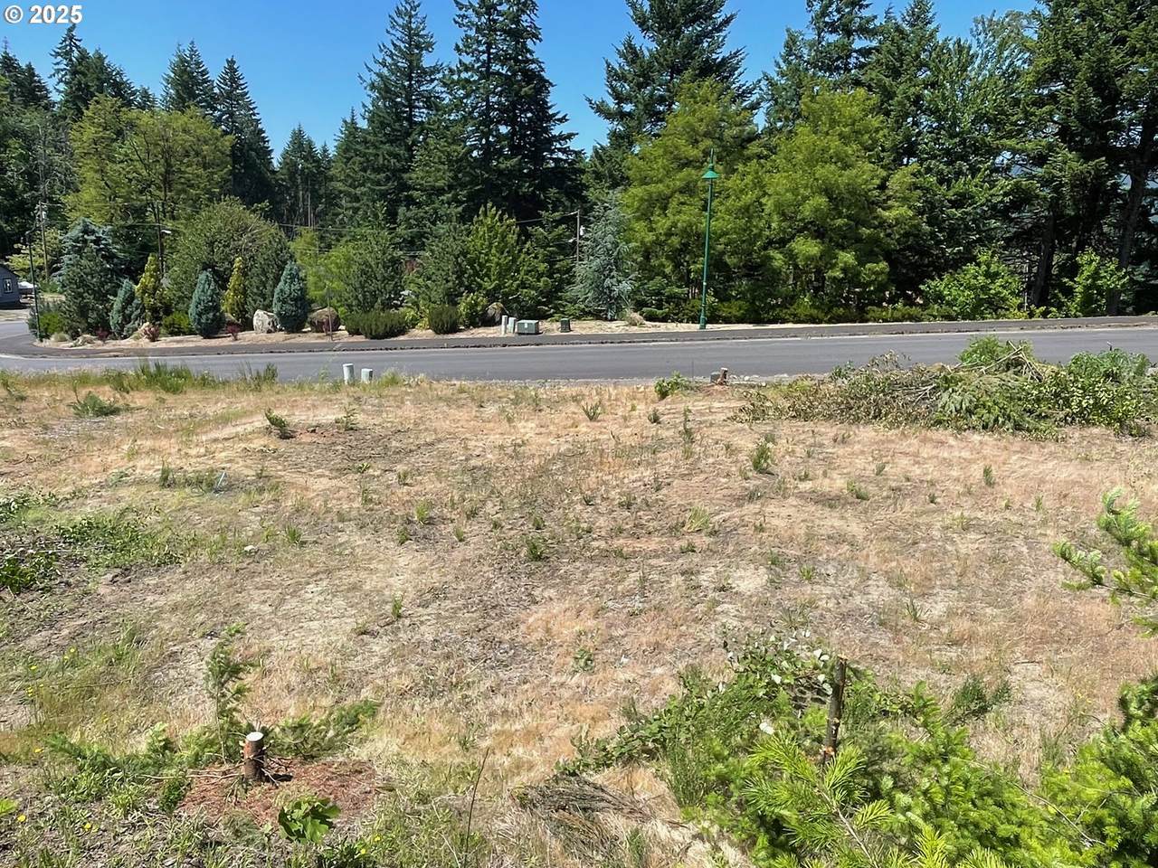 245 Sternwheeler Dr - Photo 1
