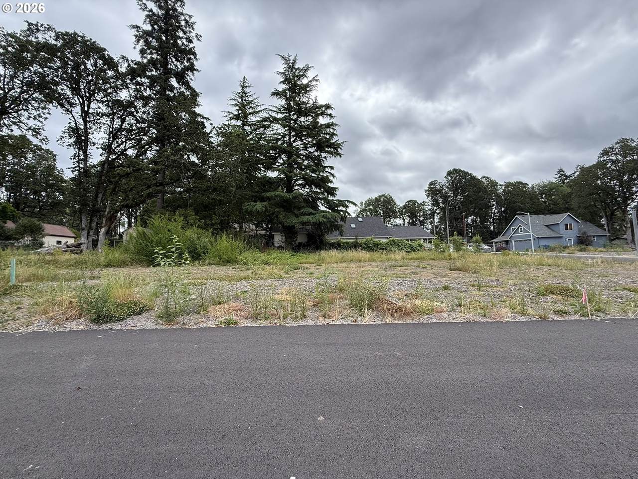 3113 Merlot Rd - Photo 1