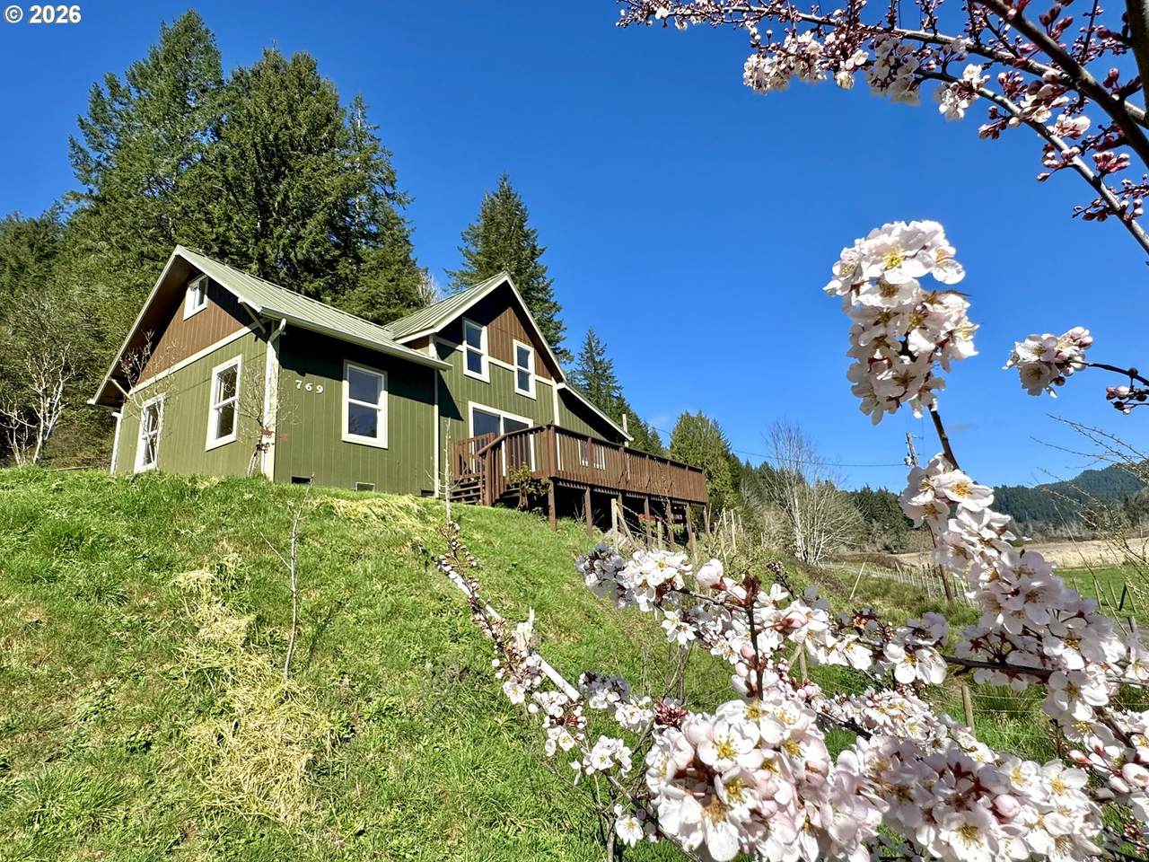 769 Deans Creek Rd - Photo 1