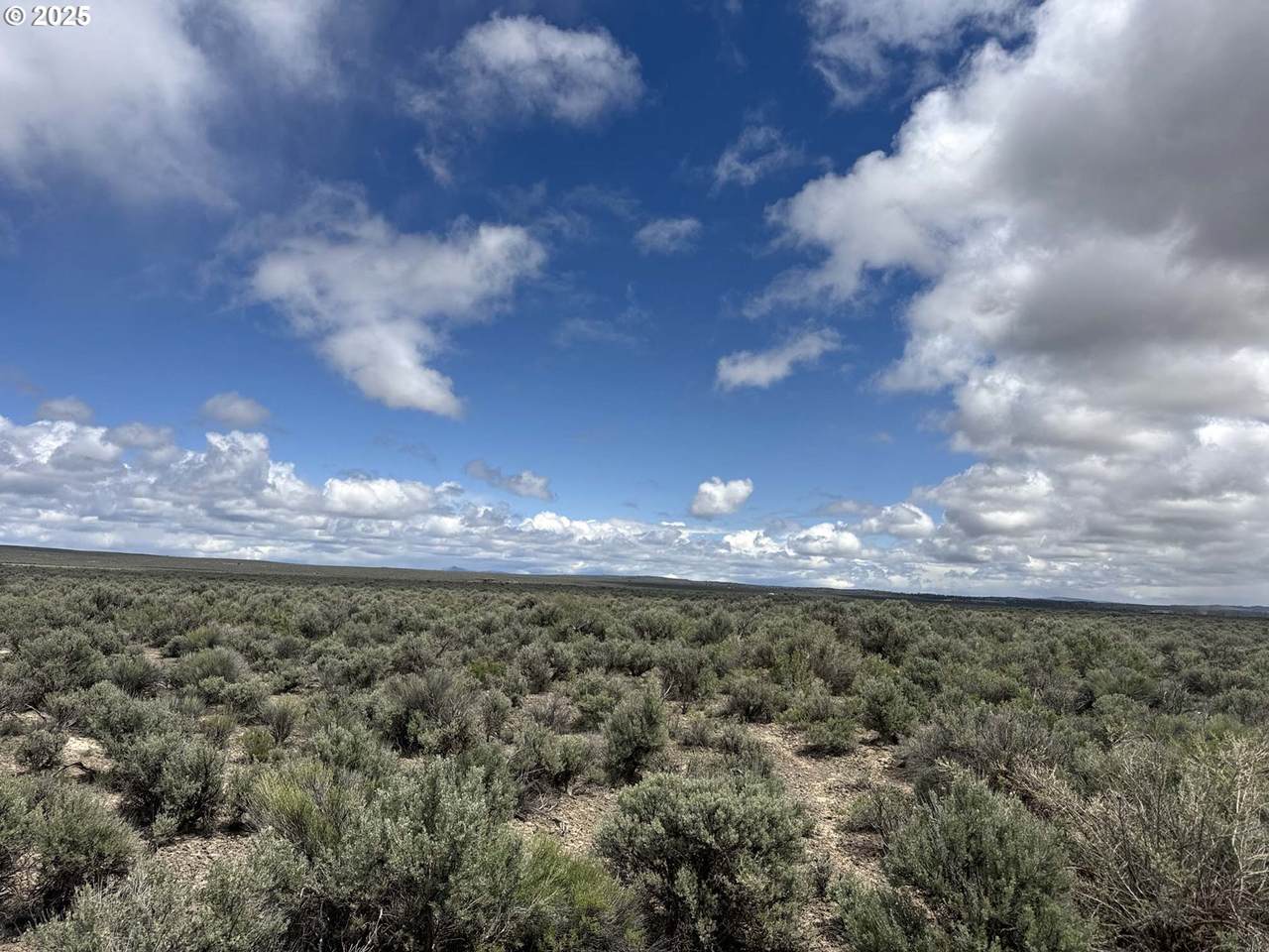  Lost Forest Lane - Photo 1