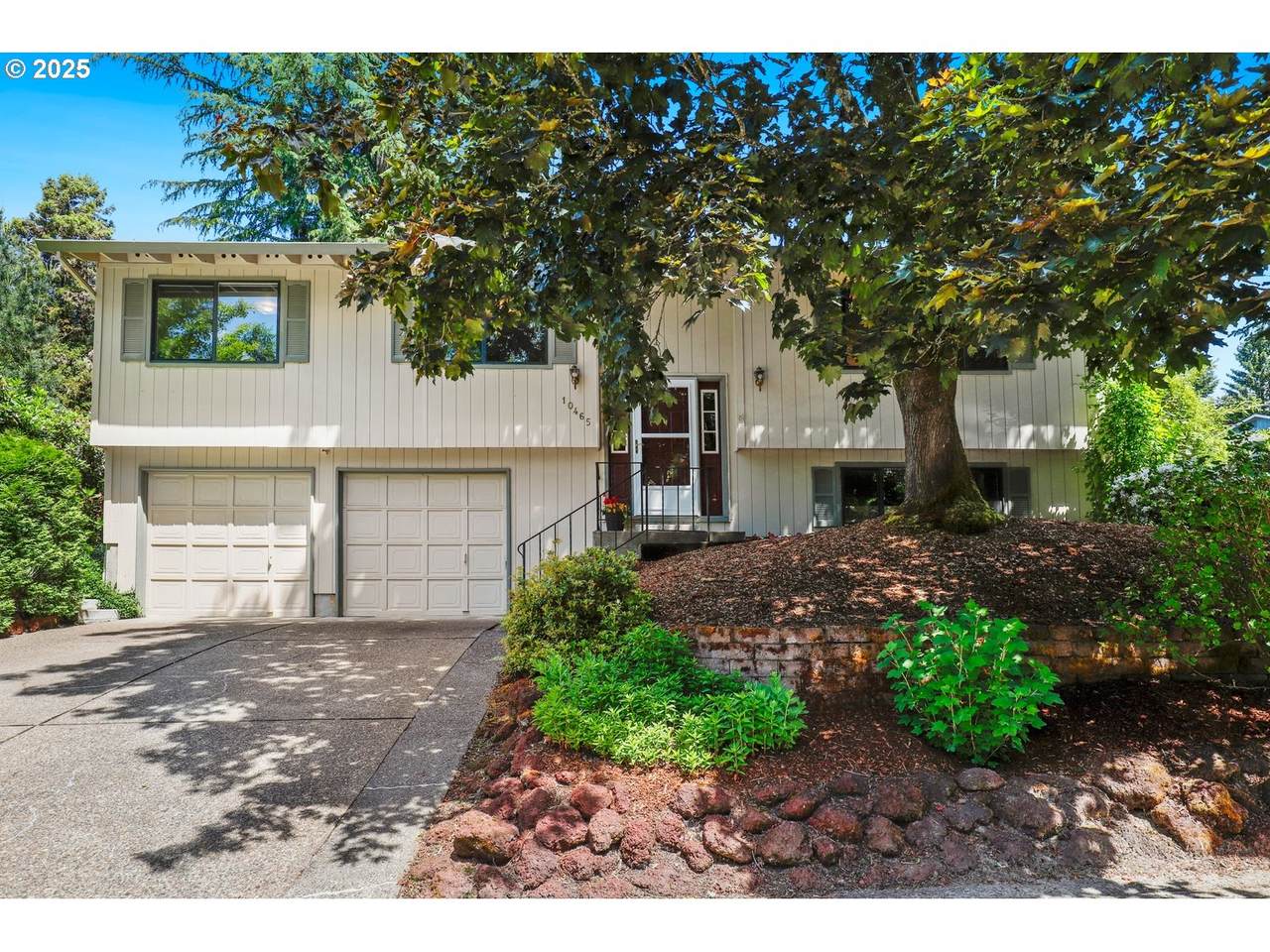 10465 Paulina Dr - Photo 1