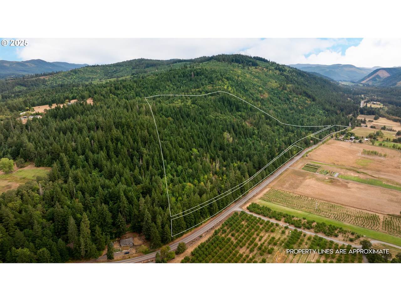 3125 Dee Hwy - Photo 1