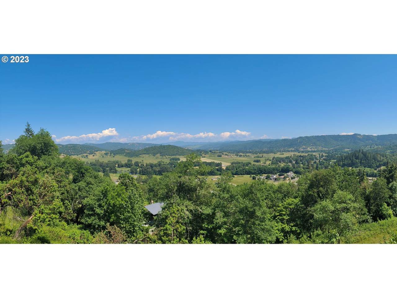  Black Oak Dr - Photo 1
