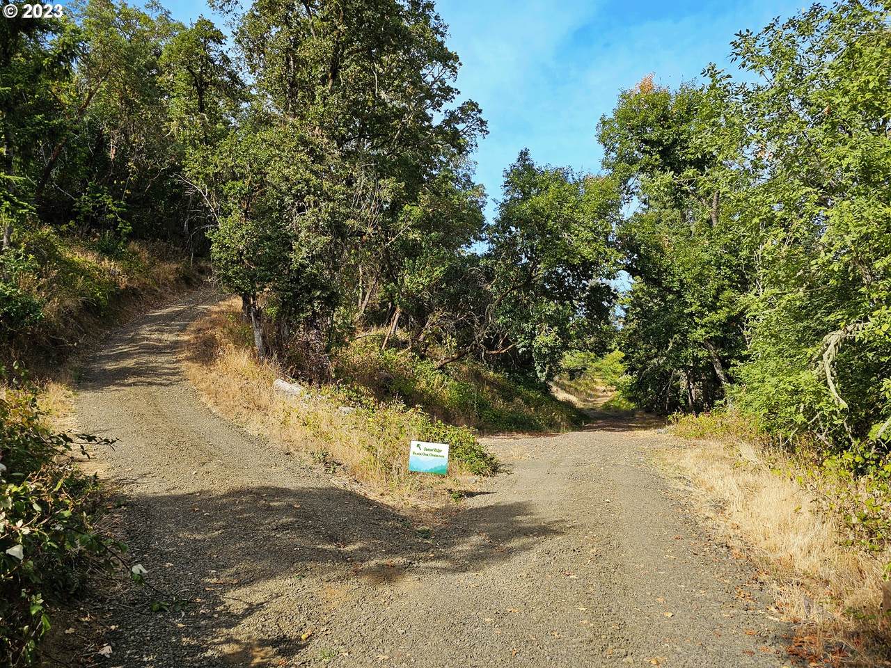 https://bt-photos.global.ssl.fastly.net/portland/1280_boomver_1_354690549-2.jpg