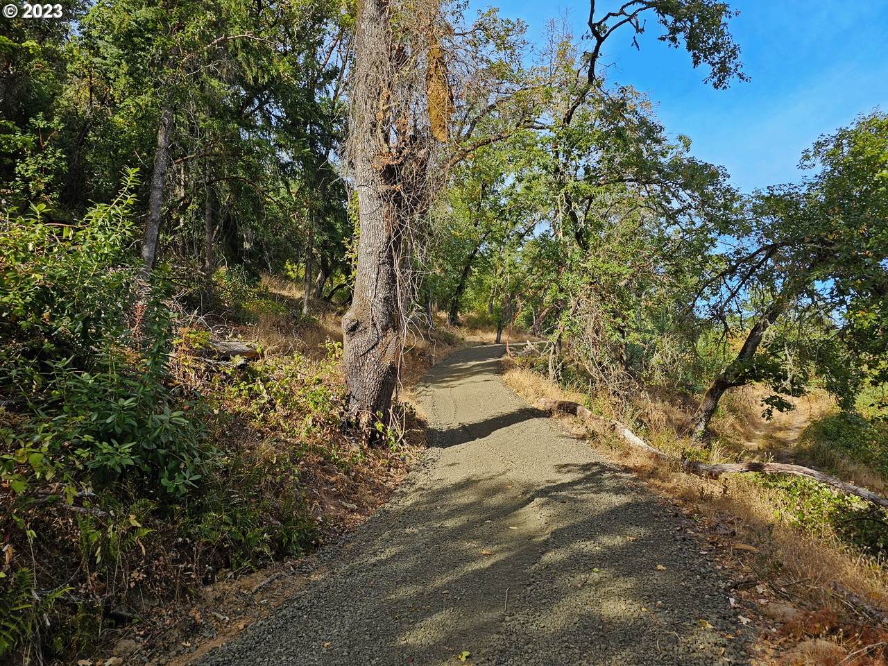 https://bt-photos.global.ssl.fastly.net/portland/1280_boomver_1_354690549-2.jpg