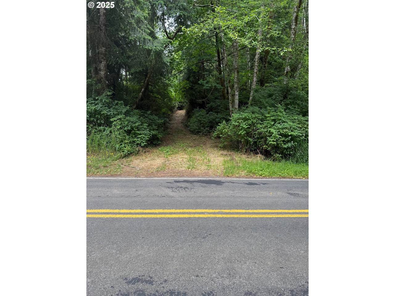  Altoona Pillar Rock Rd - Photo 1