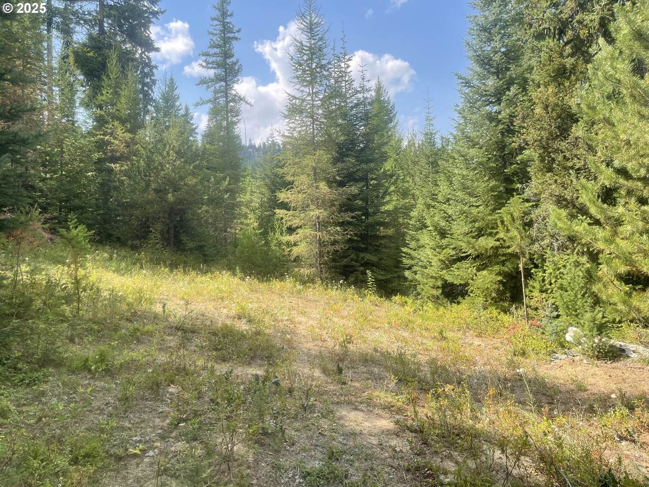  Mountain Property - Photo 1