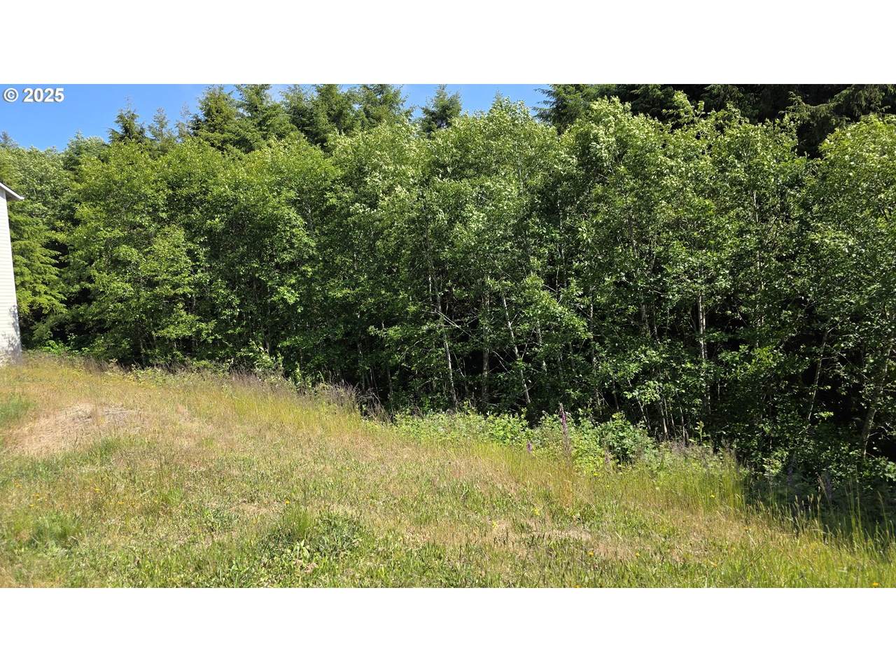  Sequoia Loop - Photo 1