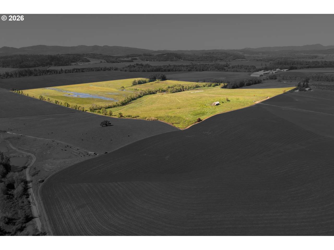 11050 Elkins - Photo 1