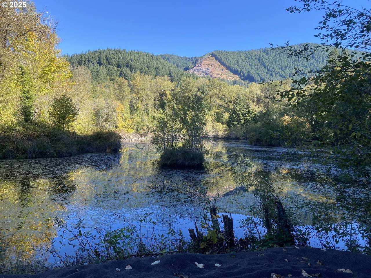https://bt-photos.global.ssl.fastly.net/portland/1280_boomver_1_361425975-2.jpg