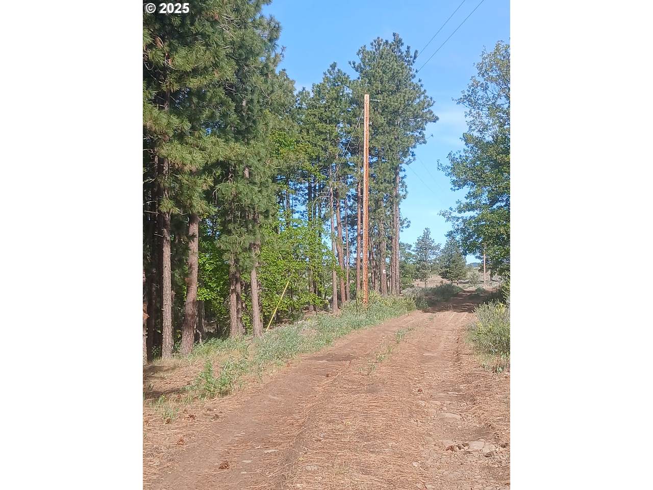  Cougar Rd - Photo 1