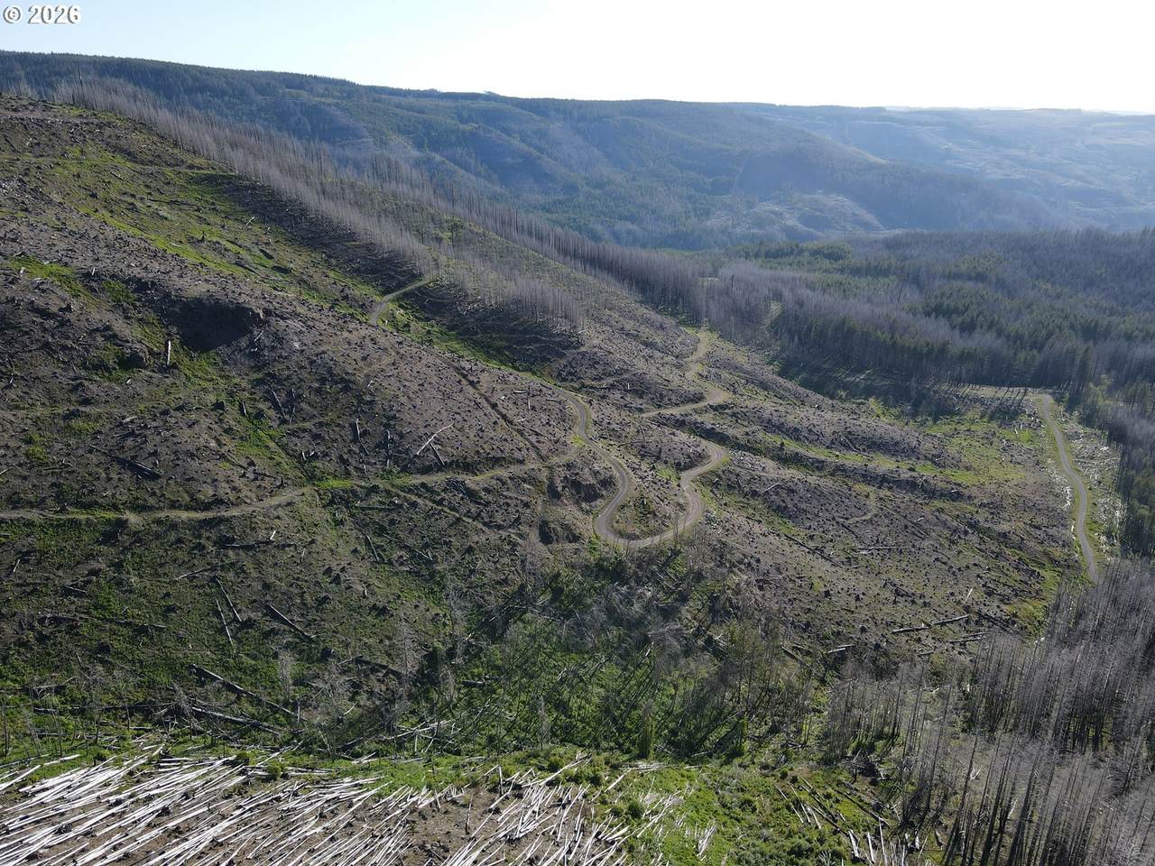 1 Middle Horse Creek Rd - Photo 1