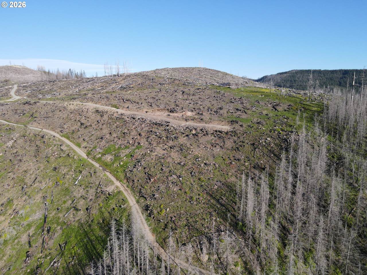 https://bt-photos.global.ssl.fastly.net/portland/1280_boomver_1_366846022-2.jpg