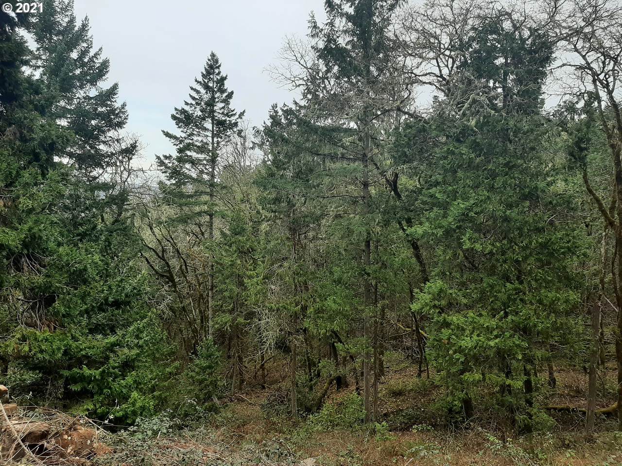 https://bt-photos.global.ssl.fastly.net/portland/1280_boomver_1_367447510-2.jpg