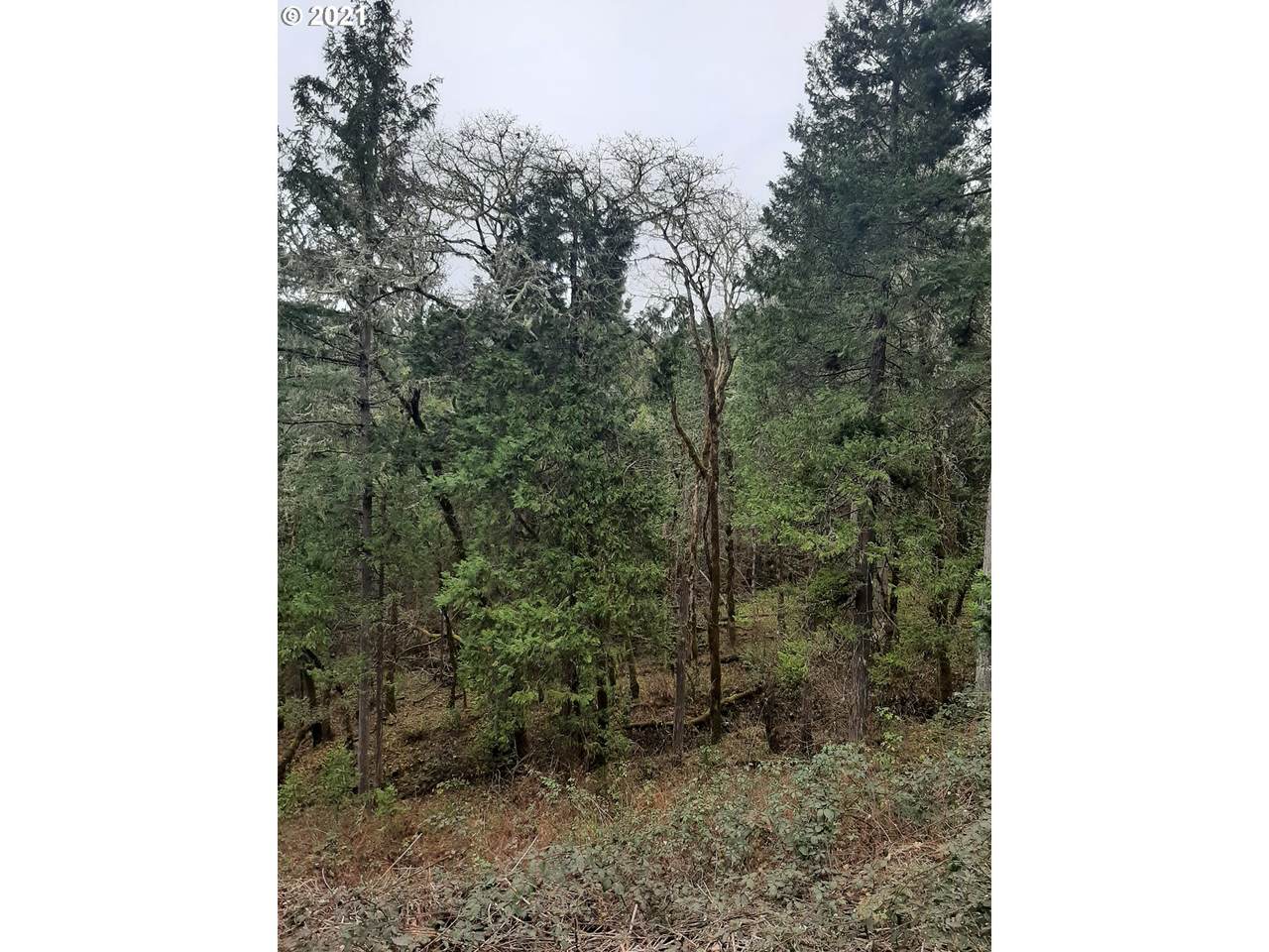 https://bt-photos.global.ssl.fastly.net/portland/1280_boomver_1_367447510-2.jpg