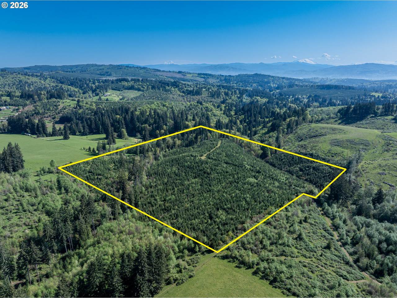 0 Whitney Rd - Photo 1