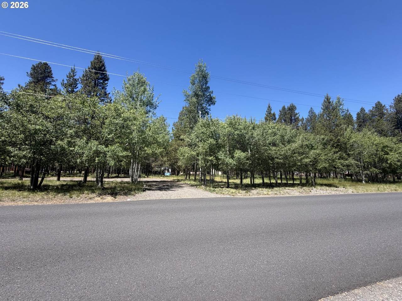 55869 Black Duck Rd - Photo 1