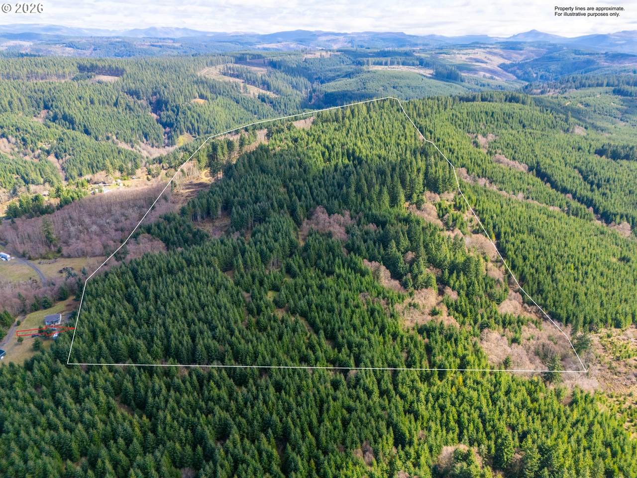 https://bt-photos.global.ssl.fastly.net/portland/1280_boomver_1_369776559-2.jpg