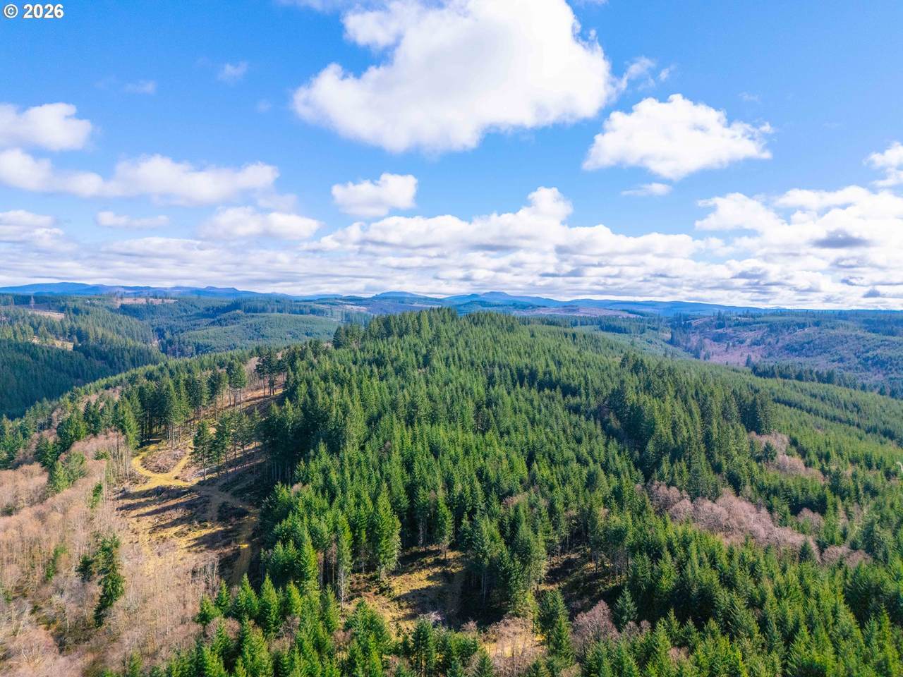 https://bt-photos.global.ssl.fastly.net/portland/1280_boomver_1_369776559-2.jpg