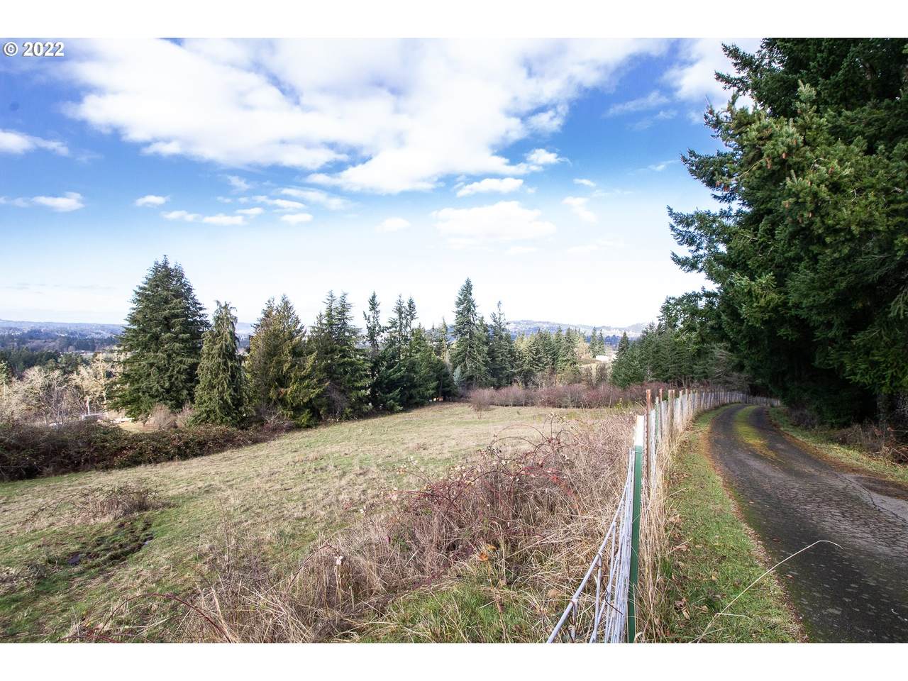 16266 Forsythe Rd - Photo 1