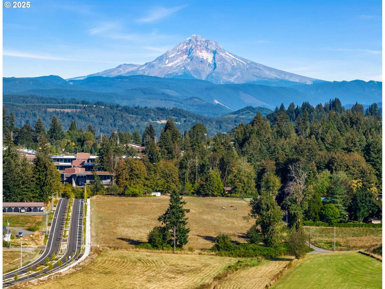 16370 Bell St - Photo 1