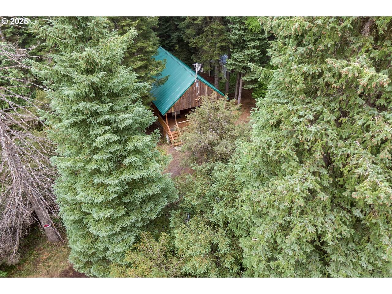 58504 Wildwood Loop - Photo 1