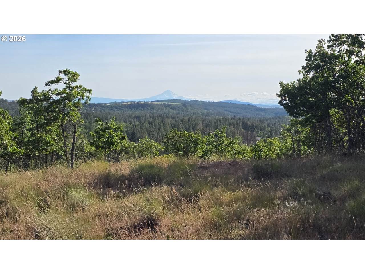  Nka Meachum Rd - Photo 1