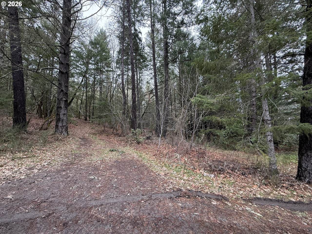 907 Riverbanks Rd - Photo 1