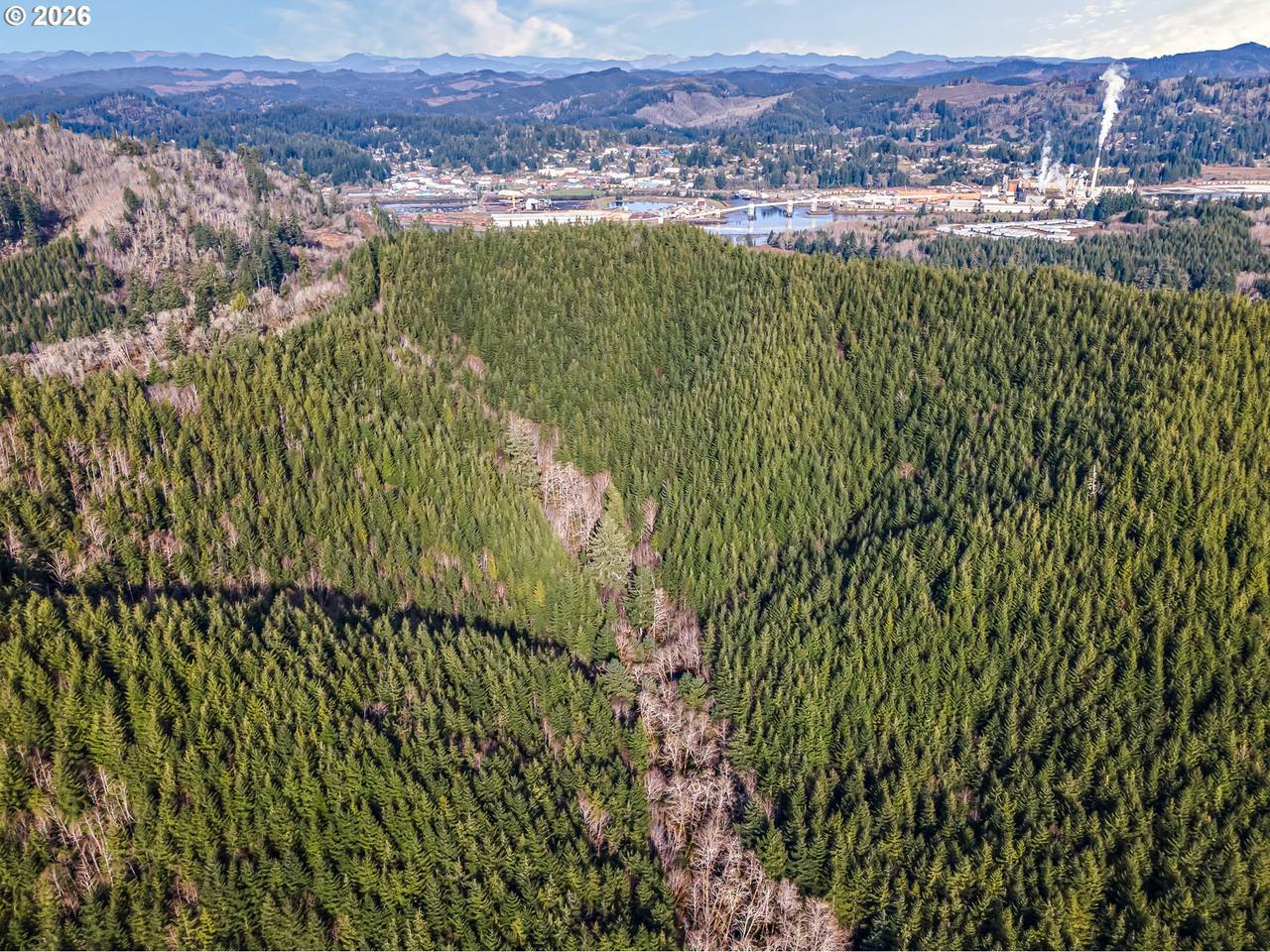  Criteser Loop - Photo 1